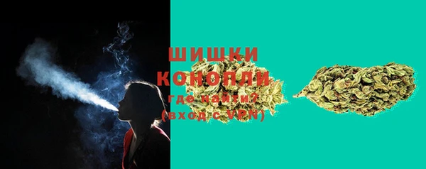 соль ск Бородино