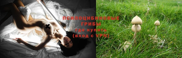 соль ск Бородино