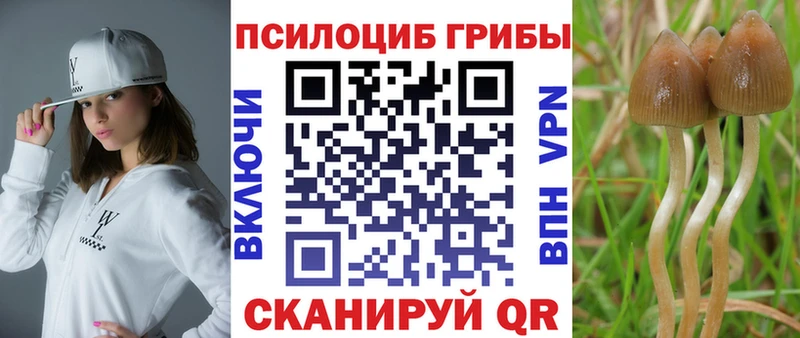 Галлюциногенные грибы Psilocybe Златоуст