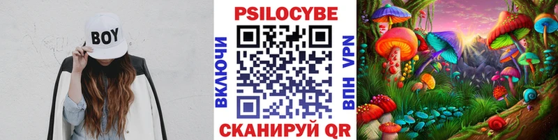 KRAKEN зеркало  Златоуст  Галлюциногенные грибы мухоморы 